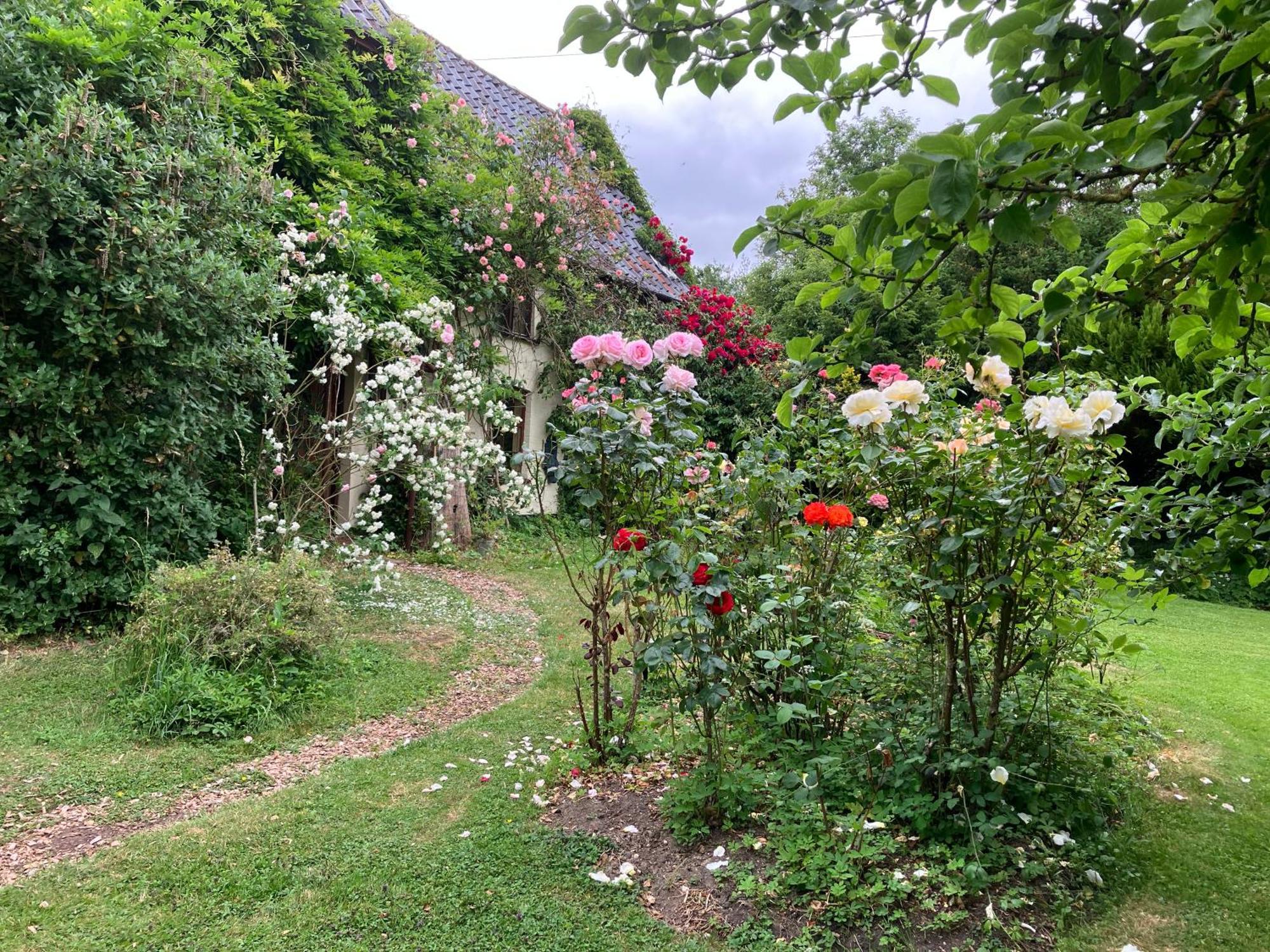 Valley Farmhouse, Westhall Redisham 외부 사진